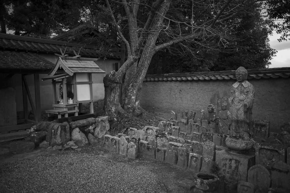 新薬師寺の境内の石仏と社