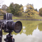 奈良県天理市の黒塚古墳に遺跡のある公園の風景を撮影してきた