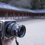 京都府八幡市の石清水八幡宮に3か月ぶりに行ってきた