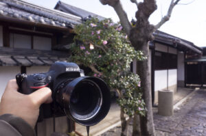 奈良市の重要文化財の建造物である今西家書院に見学に行ってきた