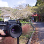 畝火山口神社の読み方は?奈良県橿原市の畝火山口神社に行ってきた