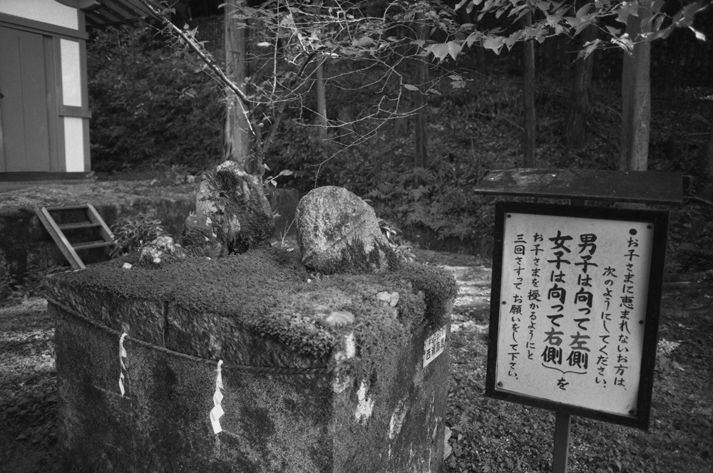 子宝に恵まれる石2