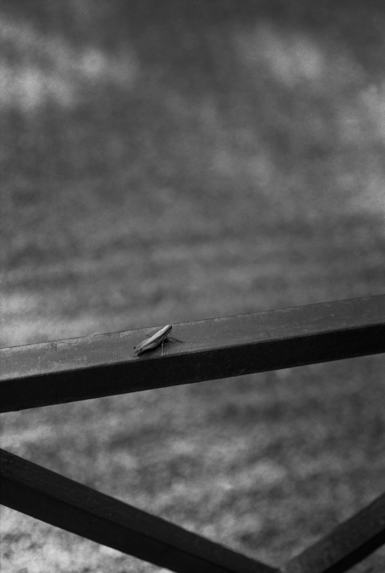 ライカ R6.2の作例3