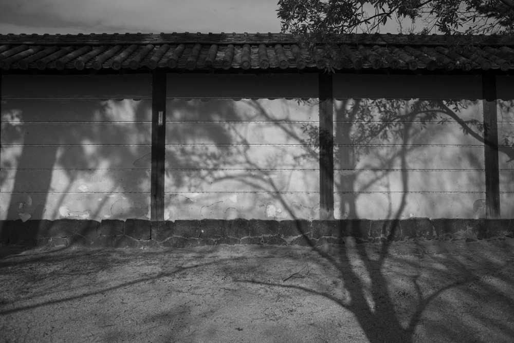 興福寺の風景3