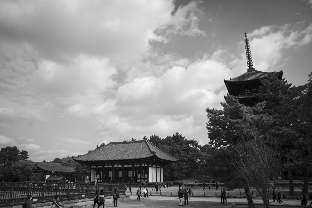 興福寺の風景1
