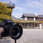 奈良県の興福寺を建てた人は誰なのか?カメラを持って行ってきた