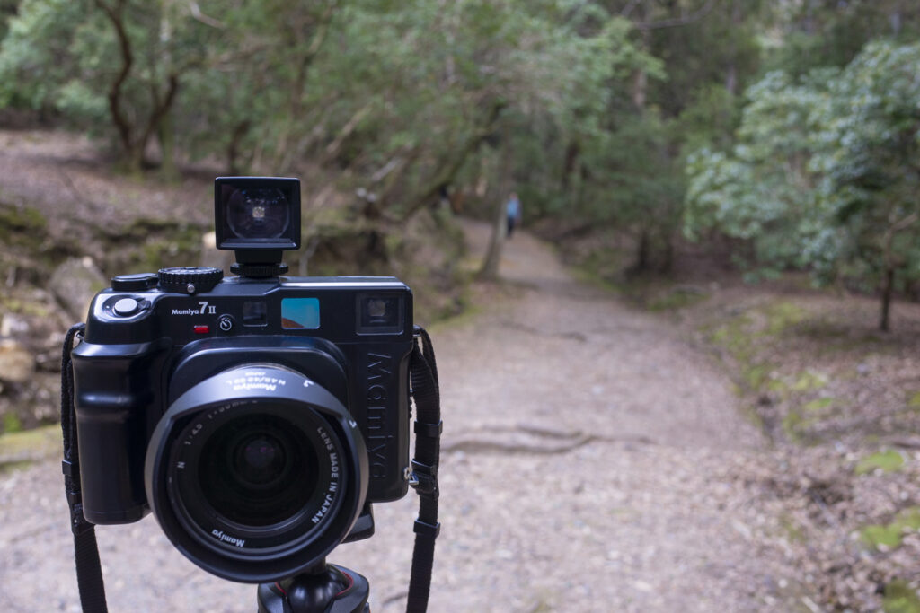 春日大社の下の禰宜道（ささやきの小径）を歩き写真撮影してきた