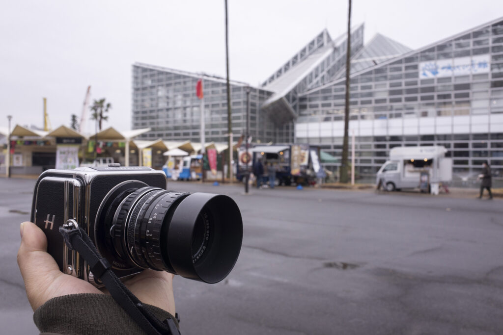 咲くやこの花館へ行ってきた、2023年1月の旬の植物や花を撮影