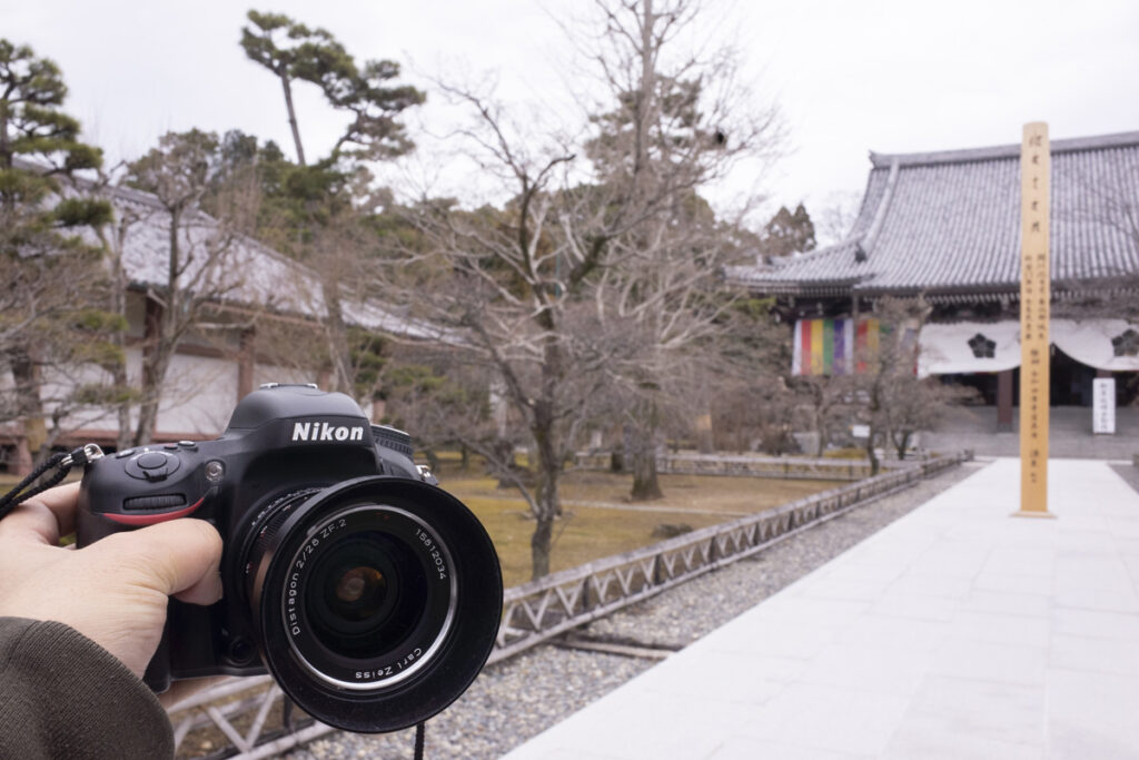 京都市東山の智積院へ、見どころの庭園を見に行ってきました