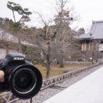 京都市東山の智積院へ、見どころの庭園を見に行ってきました