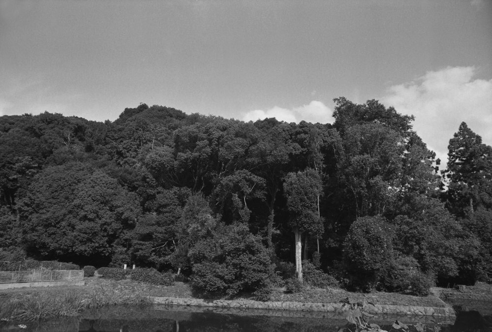 畝傍山南繊沙渓上陵の周囲