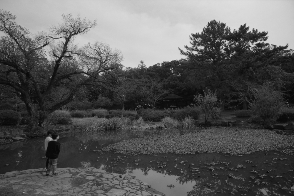 服部緑地公園内の景色2