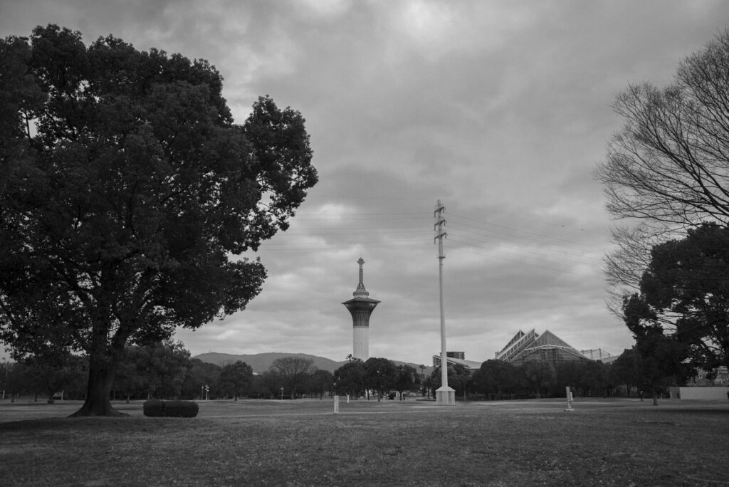 咲くやこの花館へ行ってきた、2023年2月の旬の植物や花を撮影