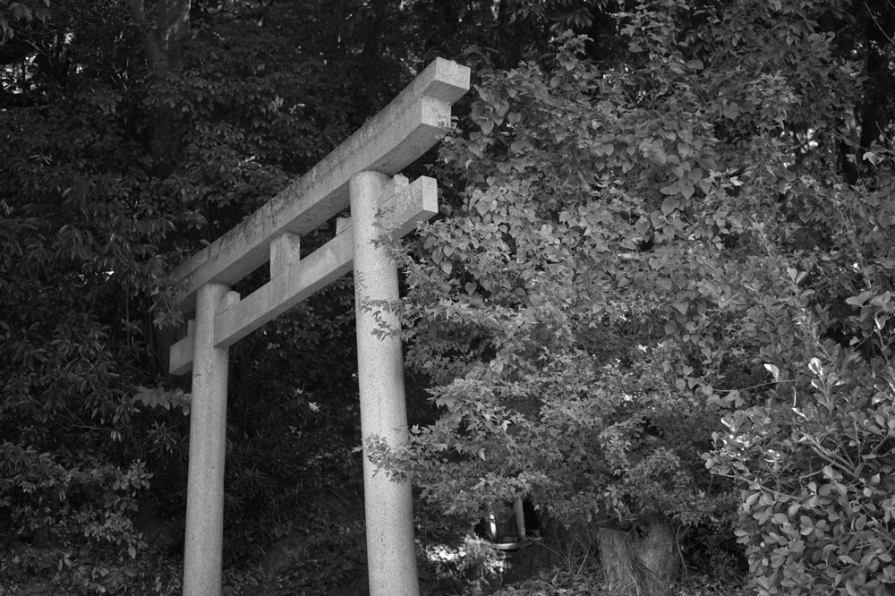金比羅神社鳥居