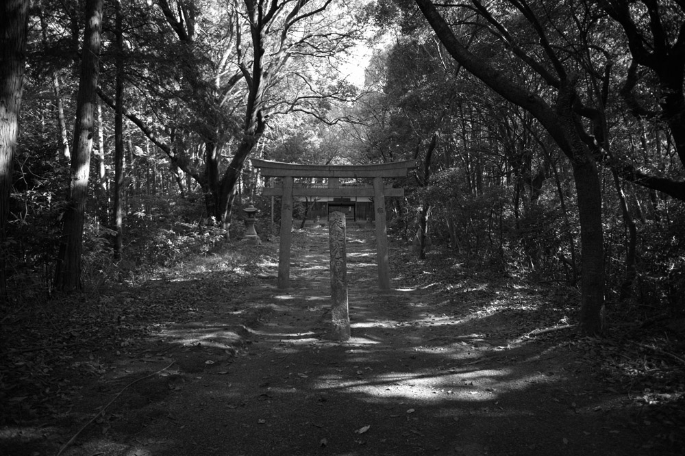 百度石