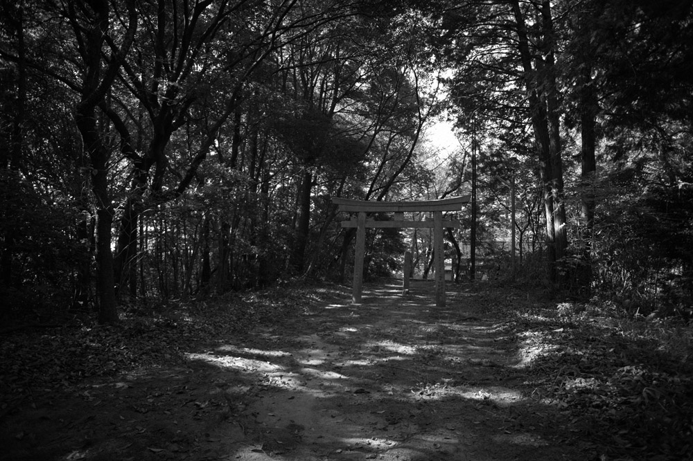 金比羅神社の鳥居