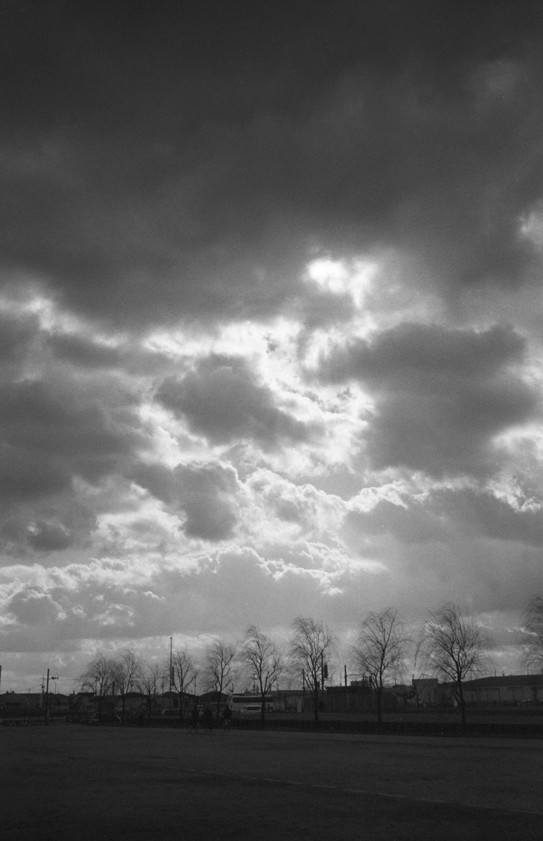 平城宮跡歴史公園の景色2