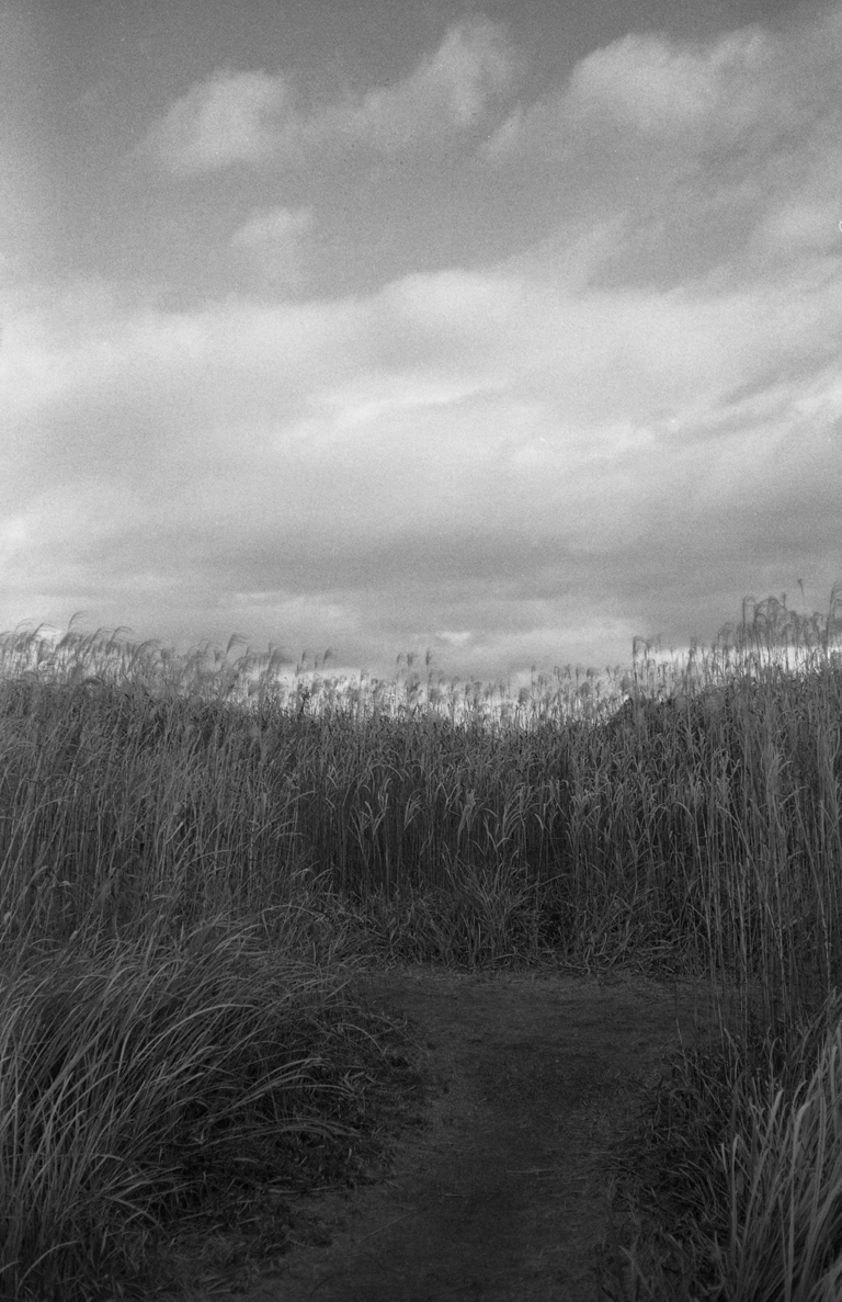 平城宮跡歴史公園の景色3