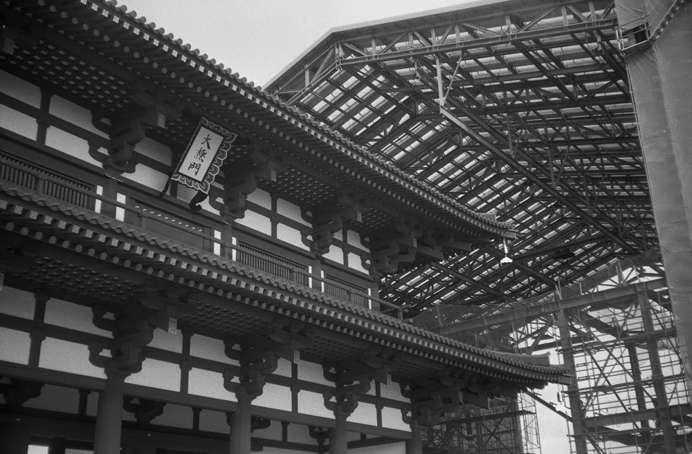 平城宮跡歴史公園の景色5