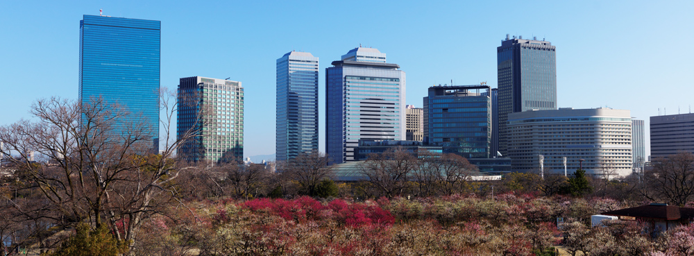 大阪城の梅林の風景5