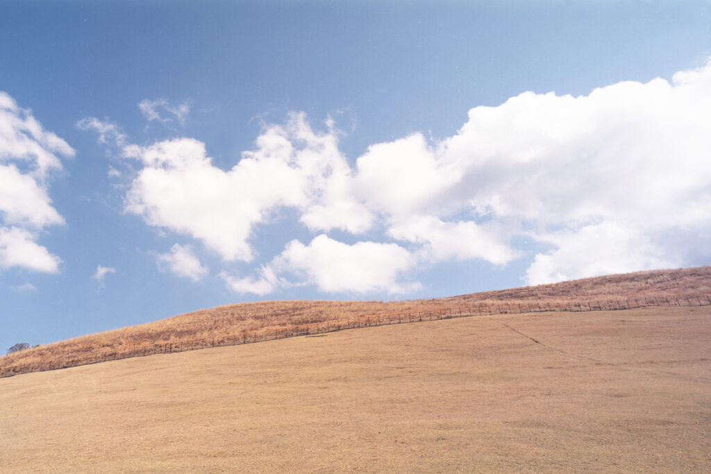 若草山の山焼きで有名な若草山の麓に行き写真撮影をしてきた