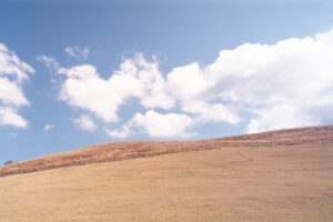 若草山の山焼きで有名な若草山の麓に行き写真撮影をしてきた