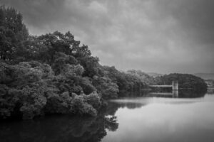 大阪府河内長野市の寺ヶ池を一周歩いて池や紫陽花を撮影してきた