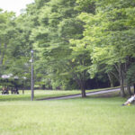 大阪府富田林市の錦織公園に行って写真撮影をしてきた