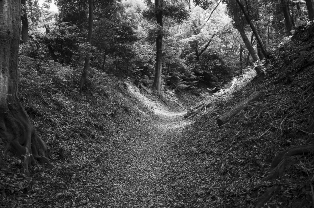 大阪府河内長野市の烏帽子形城跡を観光して写真撮影してきた