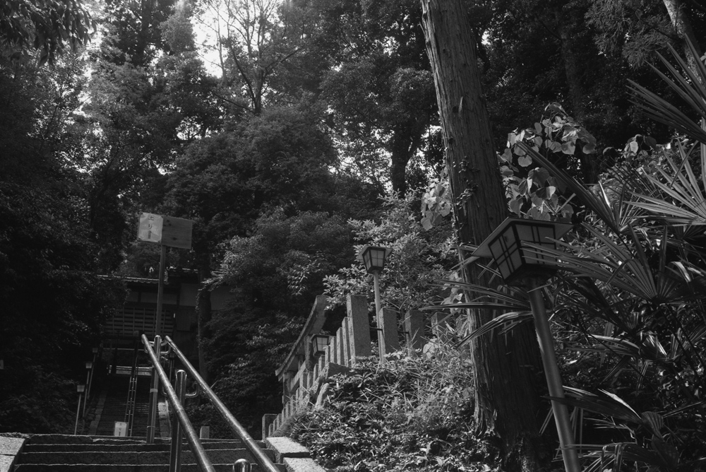 烏帽子形八幡神社の参道の階段
