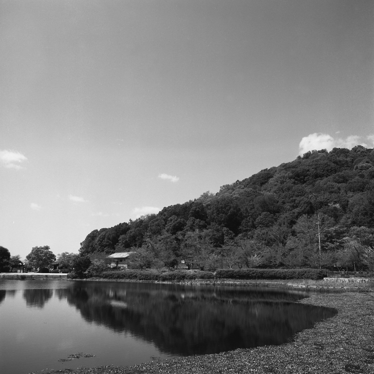 耳成山周辺の池から撮影