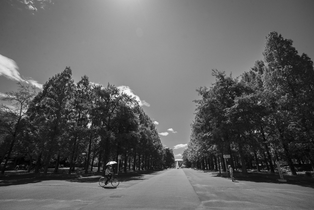鶴見緑地公園内の風景1