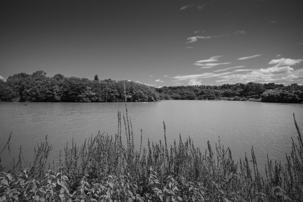 鶴見緑地公園内の風景2