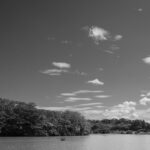 鶴見緑地公園に行って夏の炎天下の環境で写真を撮影してきた