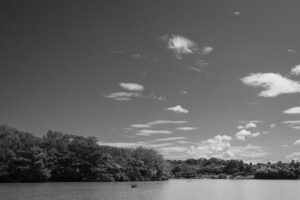 鶴見緑地公園に行って夏の炎天下の環境で写真を撮影してきた