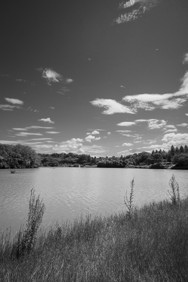 鶴見緑地公園内の風景3