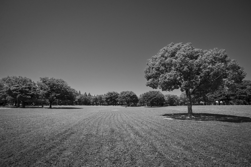 鶴見緑地公園内の風景4