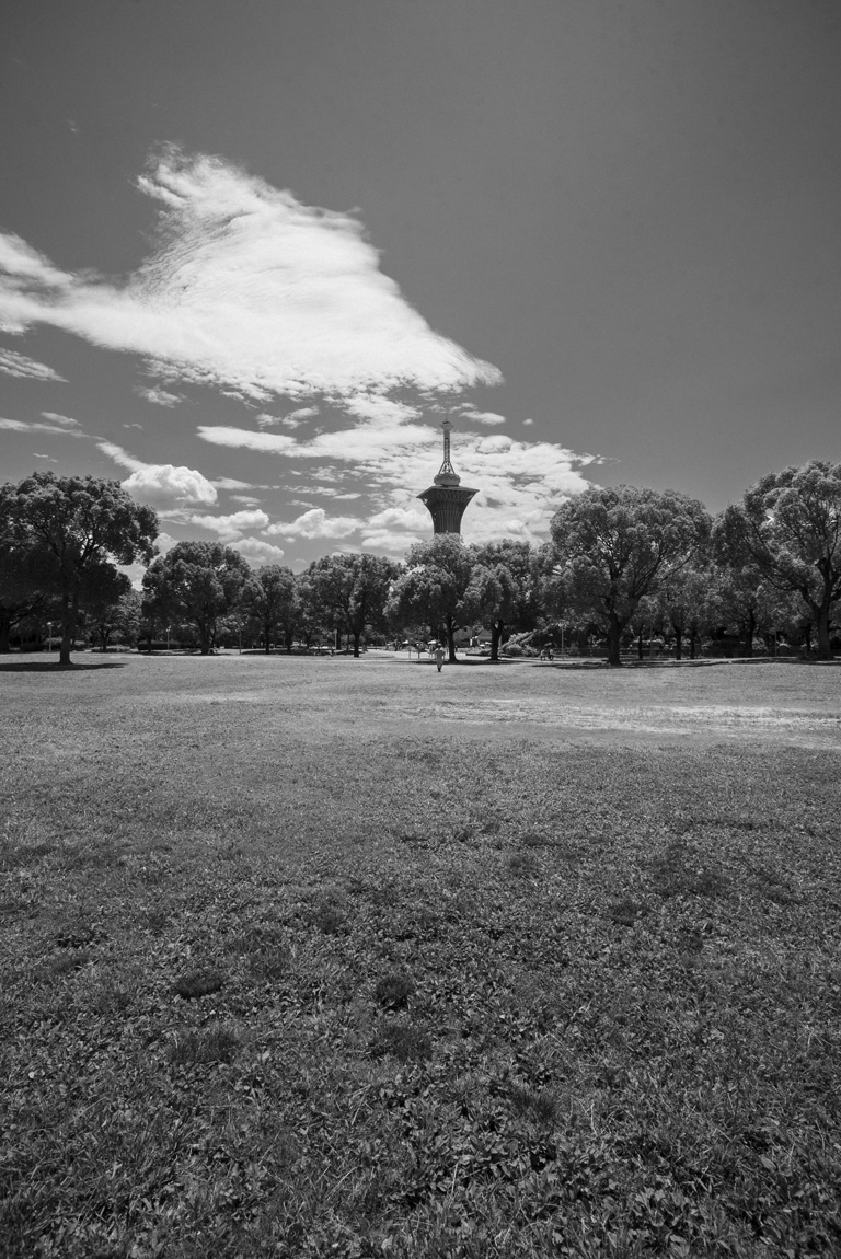 鶴見緑地公園内の風景6