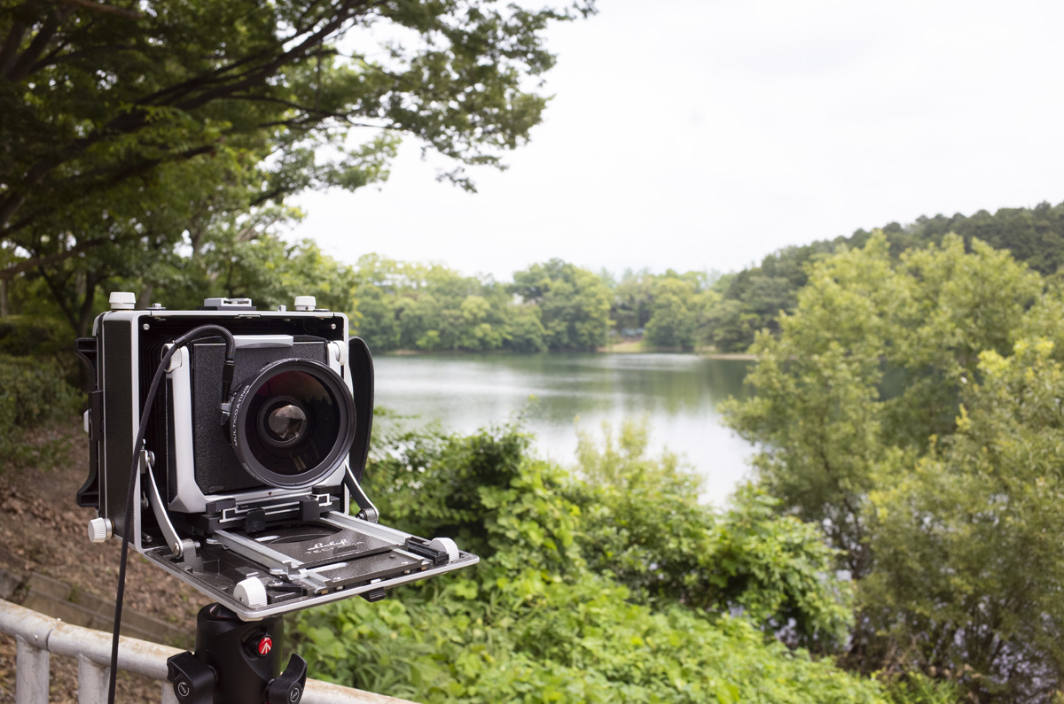 大判カメラを使って6x17で河内長野市の寺ヶ池を撮影してきた