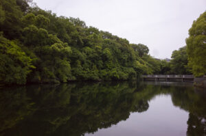 昔釣りをして遊んだ明治池公園に行き記憶をたどり撮影してきた