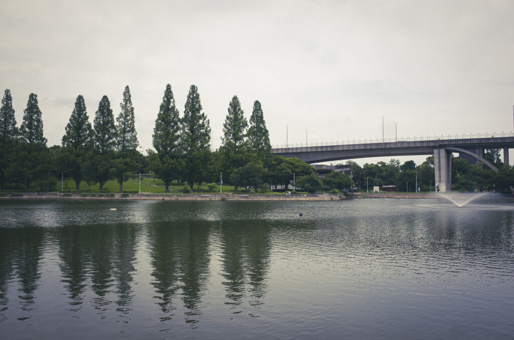 大阪市北区の菖蒲園で有名な城北公園に行って写真を撮ってきた