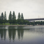 大阪市北区の菖蒲園で有名な城北公園に行って写真を撮ってきた
