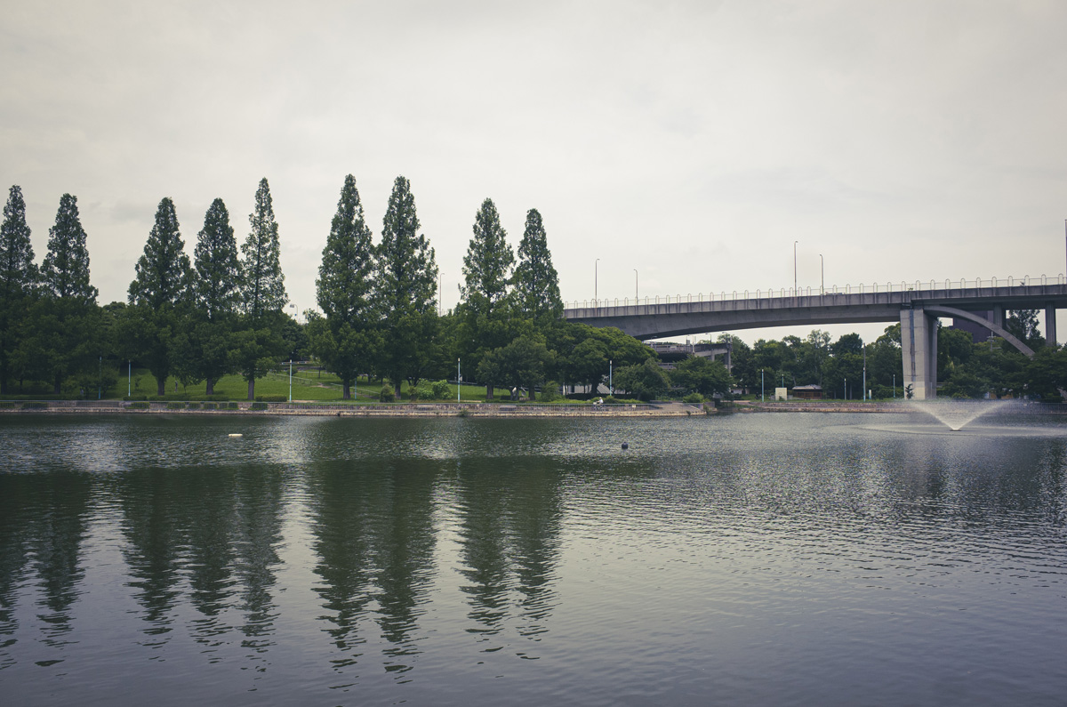 大阪市北区の菖蒲園で有名な城北公園に行って写真を撮ってきた