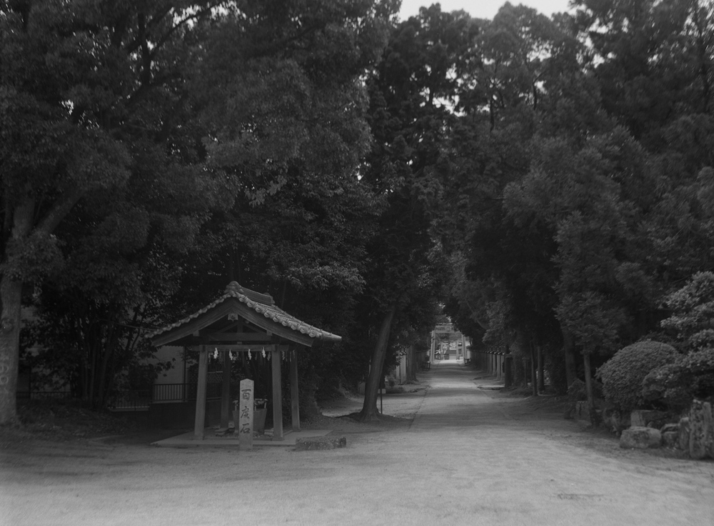 錦織神社の参道の景色