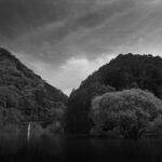 室生ダムの水没林をHorseman SW612を使いモノクローム撮影してきた