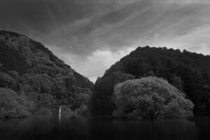 室生ダムの水没林をHorseman SW612を使いモノクローム撮影してきた