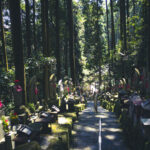 生駒聖天の真言律宗 宝山寺に写真を撮りに行ってきました
