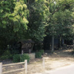 奈良県奈良市の平城京跡北側にある佐紀神社に行って撮影してきた