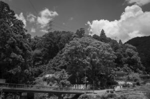 大阪府河内長野市の石清水八幡宮別宮の八幡神社に行ってきた
