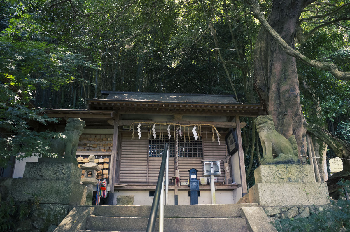 大阪府富田林市の腰神神社で二眼レフを使い写真を撮ってきた